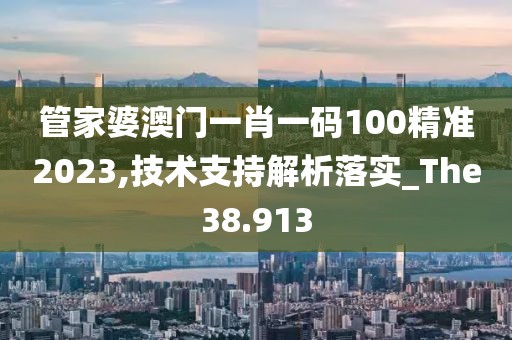 管家婆澳门一肖一码100精准2023,技术支持解析落实_The38.913