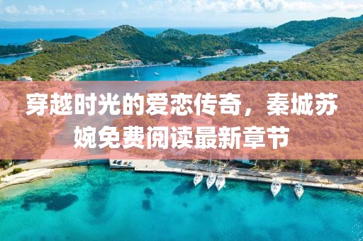 穿越时光的爱恋传奇，秦城苏婉免费阅读最新章节