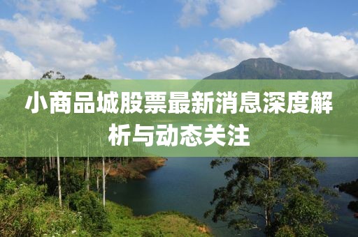 小商品城股票最新消息深度解析与动态关注
