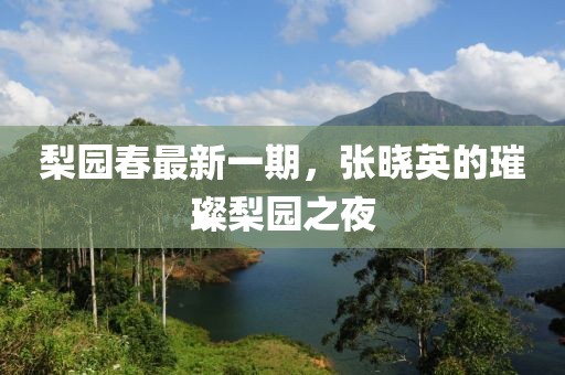 梨园春最新一期，张晓英的璀璨梨园之夜