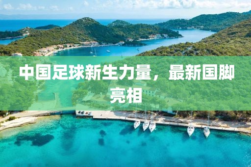 中国足球新生力量，最新国脚亮相