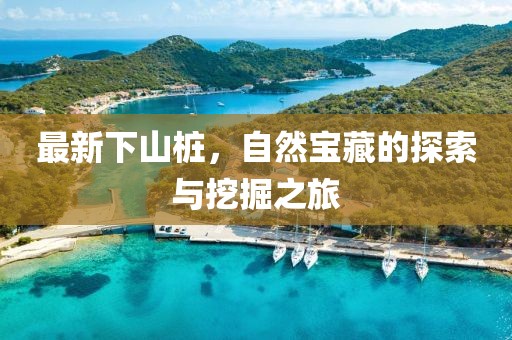 最新下山桩，自然宝藏的探索与挖掘之旅