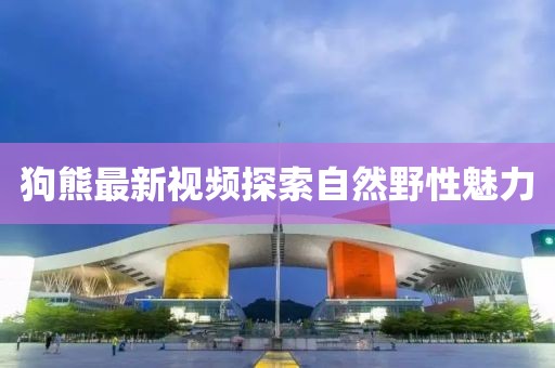狗熊最新视频探索自然野性魅力