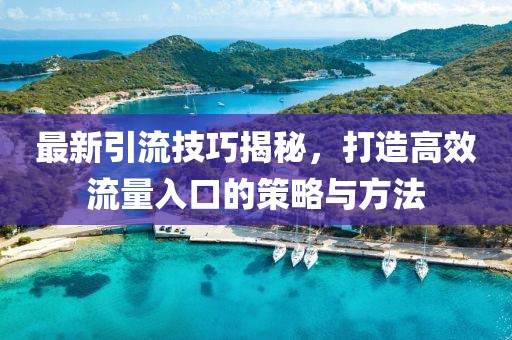 最新引流技巧揭秘，打造高效流量入口的策略与方法