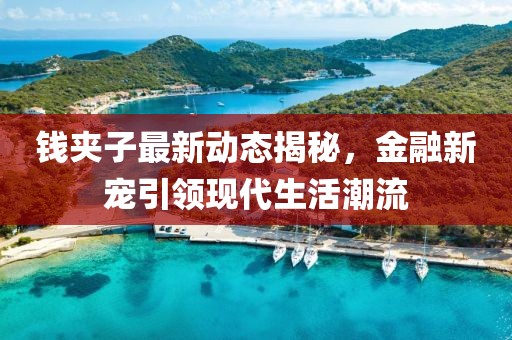 钱夹子最新动态揭秘，金融新宠引领现代生活潮流