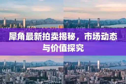 犀角最新拍卖揭秘，市场动态与价值探究