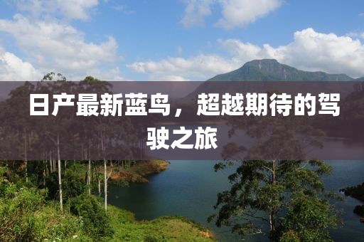空欢喜 第7页