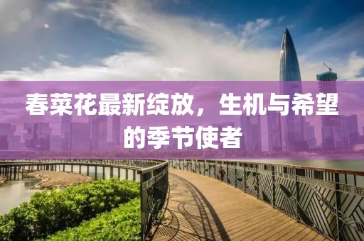 小情调 第6页