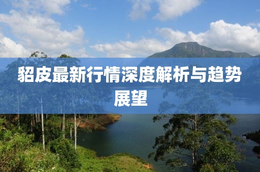 貂皮最新行情深度解析与趋势展望