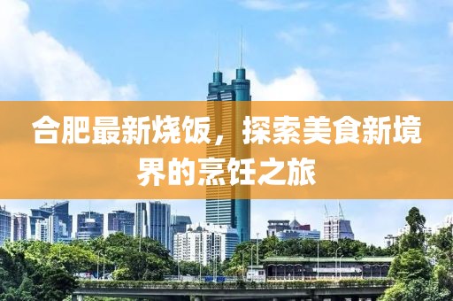 合肥最新烧饭，探索美食新境界的烹饪之旅