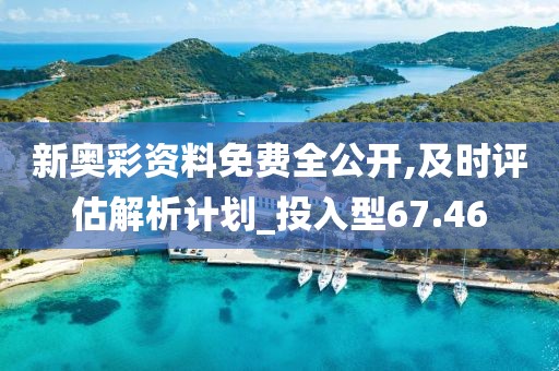新奥彩资料免费全公开,及时评估解析计划_投入型67.46