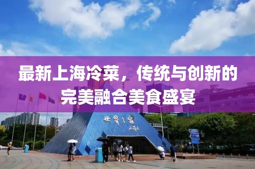 最新上海冷菜，传统与创新的完美融合美食盛宴