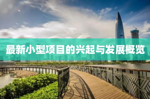 最新小型项目的兴起与发展概览