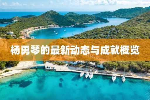 杨勇琴的最新动态与成就概览