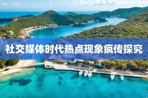 社交媒体时代热点现象疯传探究