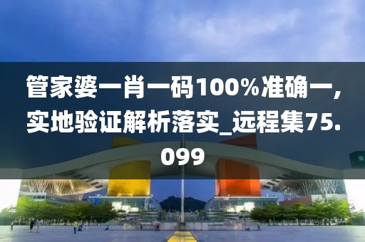 管家婆一肖一码100%准确一,实地验证解析落实_远程集75.099
