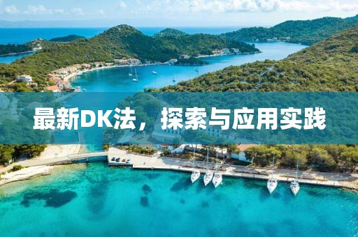最新DK法，探索与应用实践