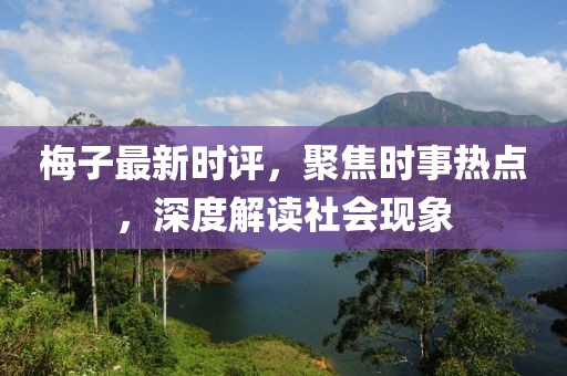 梅子最新时评，聚焦时事热点，深度解读社会现象