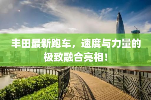 听书人 第6页