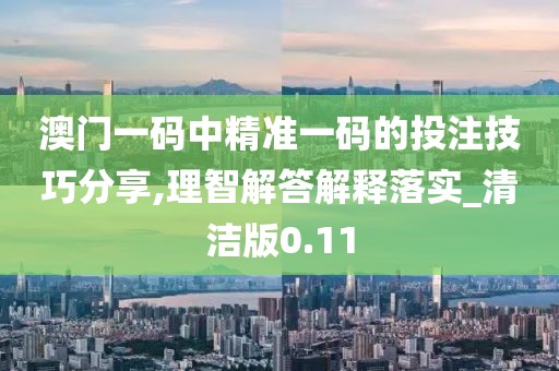澳门一码中精准一码的投注技巧分享,理智解答解释落实_清洁版0.11
