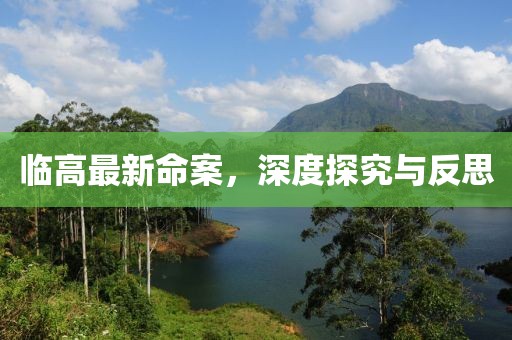 临高最新命案，深度探究与反思