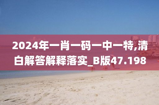 2024年一肖一码一中一特,清白解答解释落实_B版47.198
