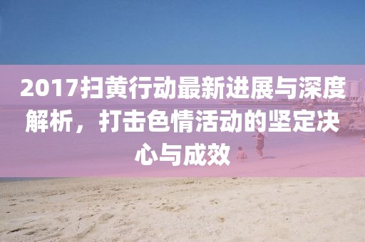 2017扫黄行动最新进展与深度解析，打击色情活动的坚定决心与成效