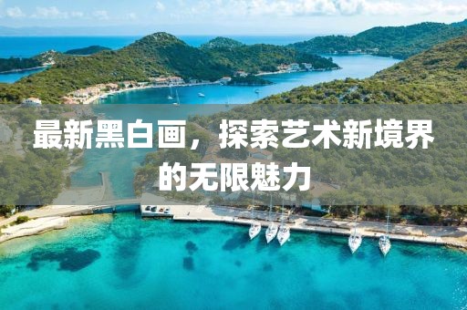 最新黑白画，探索艺术新境界的无限魅力