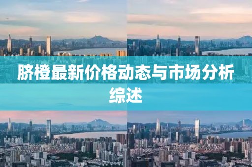 脐橙最新价格动态与市场分析综述