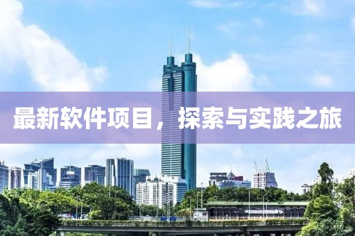 最新软件项目，探索与实践之旅