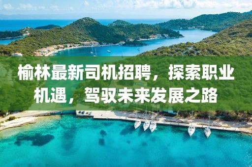 榆林最新司机招聘，探索职业机遇，驾驭未来发展之路