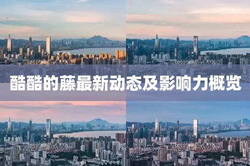 酷酷的藤最新动态及影响力概览