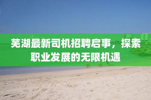 芜湖最新司机招聘启事，探索职业发展的无限机遇