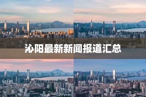 沁阳最新新闻报道汇总