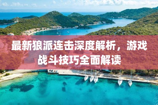 最新狼派连击深度解析，游戏战斗技巧全面解读