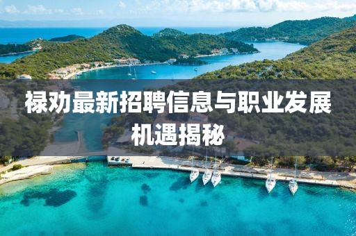 禄劝最新招聘信息与职业发展机遇揭秘