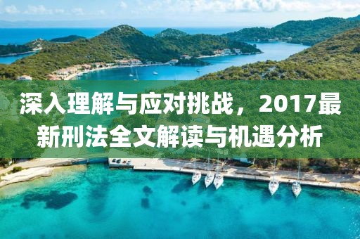 深入理解与应对挑战，2017最新刑法全文解读与机遇分析
