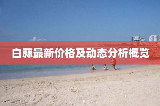 白蒜最新价格及动态分析概览
