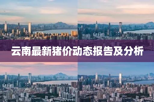 云南最新猪价动态报告及分析