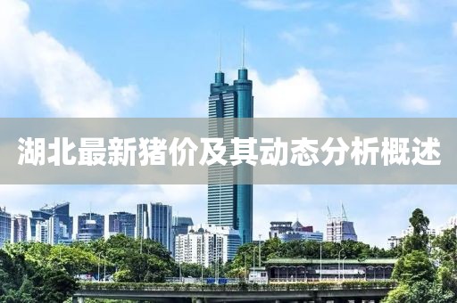 第323页
