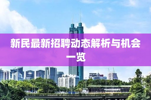 新民最新招聘动态解析与机会一览