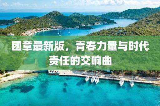 团章最新版，青春力量与时代责任的交响曲