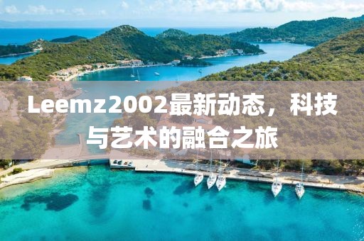 Leemz2002最新动态，科技与艺术的融合之旅