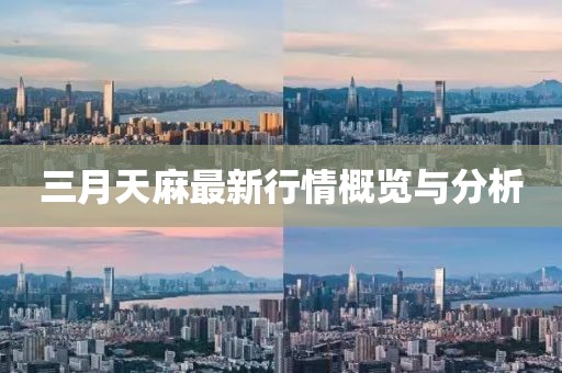 第304页