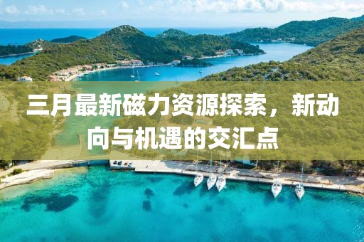 三月最新磁力资源探索，新动向与机遇的交汇点