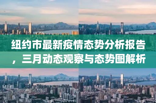 纽约市最新疫情态势分析报告，三月动态观察与态势图解析