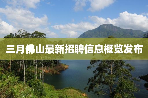 三月佛山最新招聘信息概览发布