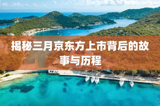 揭秘三月京东方上市背后的故事与历程