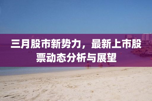 三月股市新势力，最新上市股票动态分析与展望