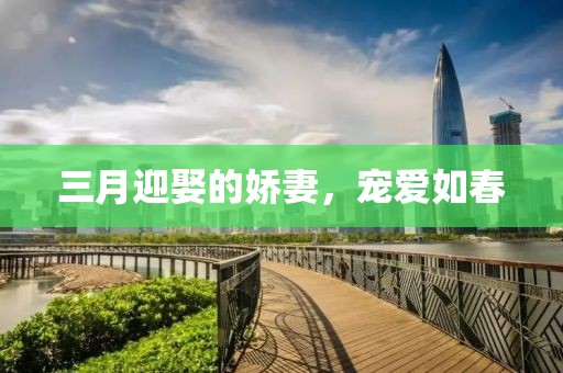 三月迎娶的娇妻，宠爱如春